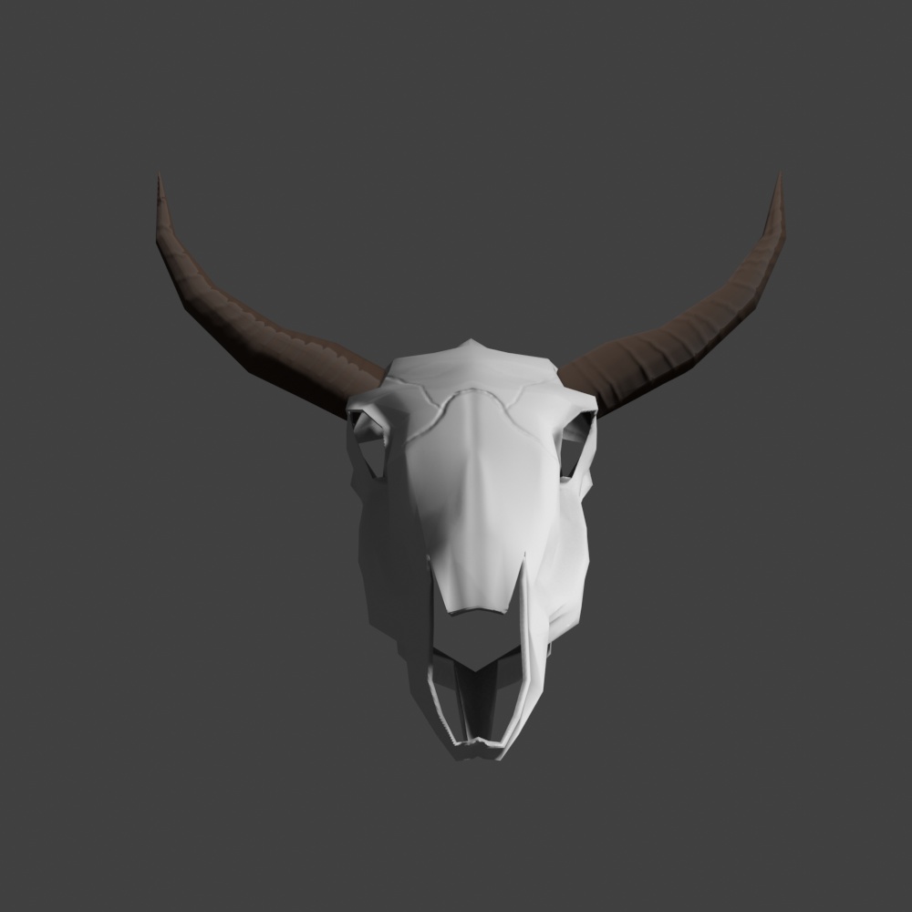 【3Dモデル 】何かの動物の頭骨