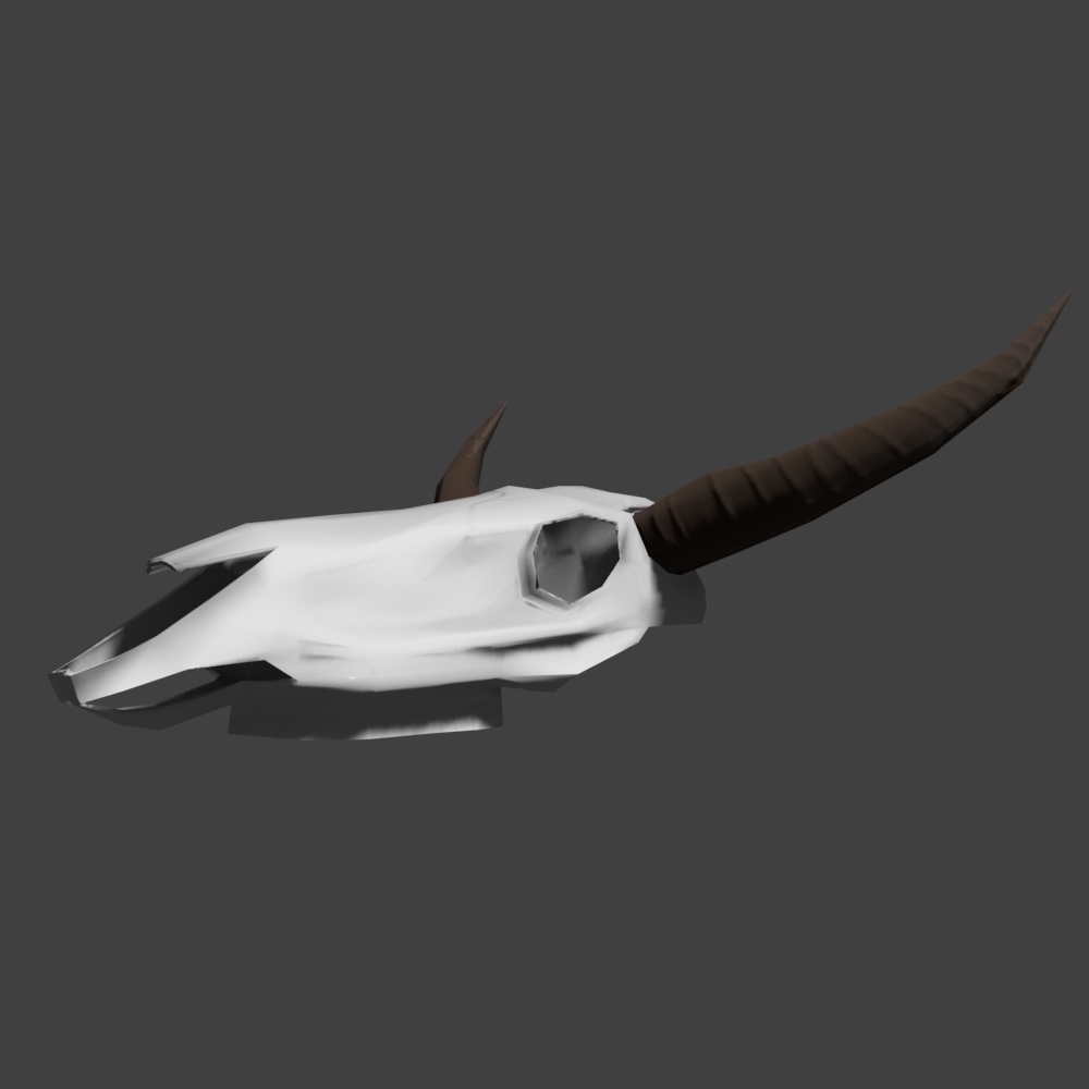 【3Dモデル 】何かの動物の頭骨