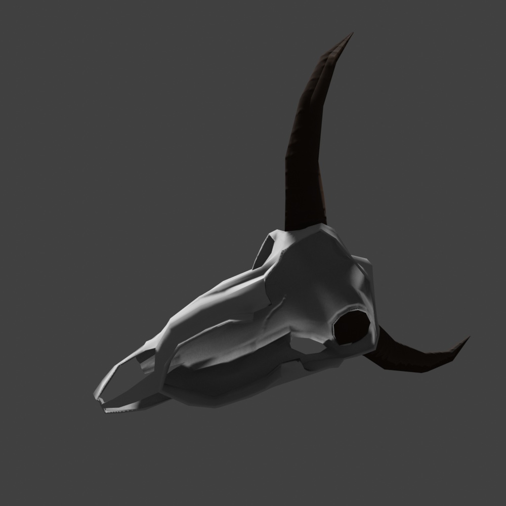 【3Dモデル 】何かの動物の頭骨
