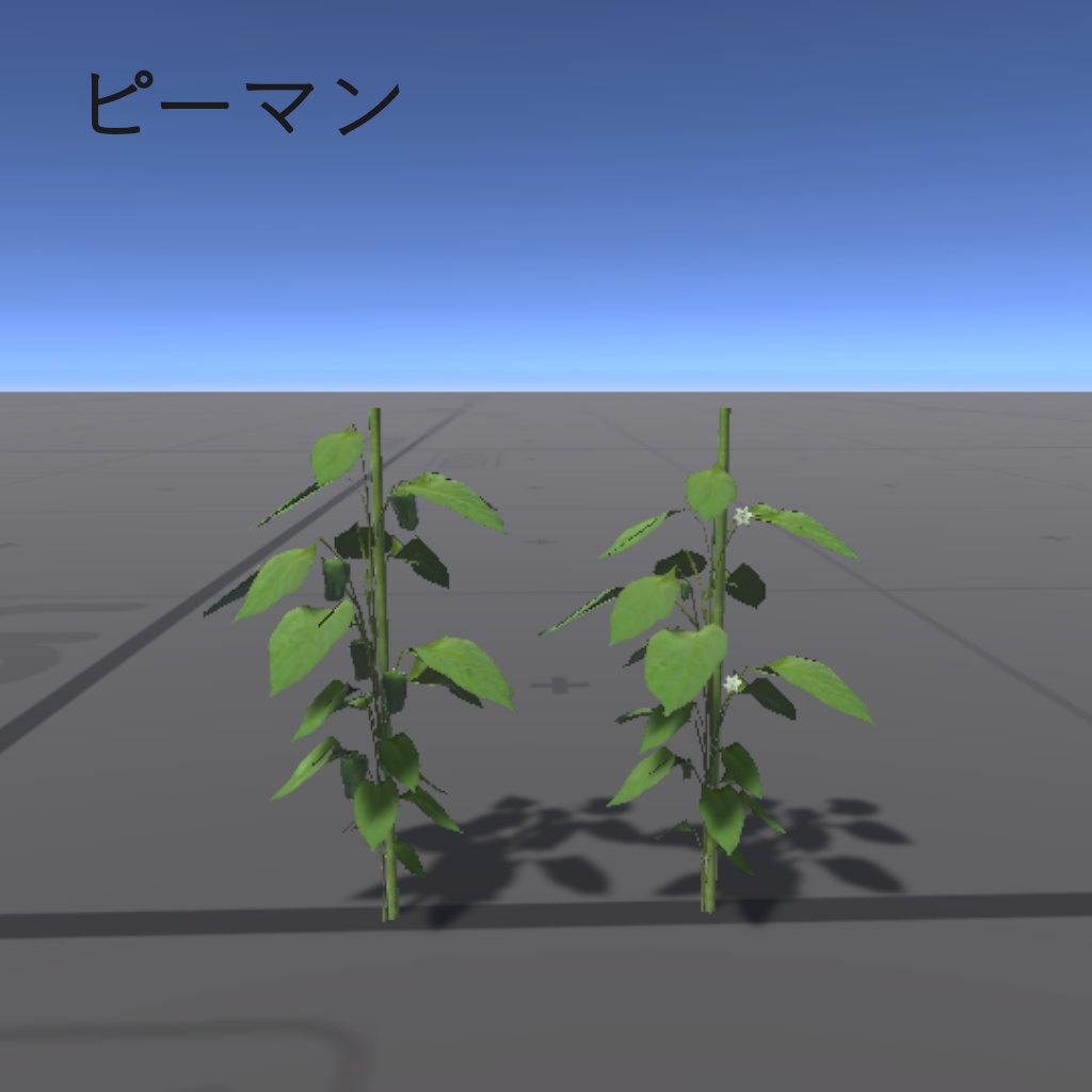 【3Dモデル】畑の野菜(夏)