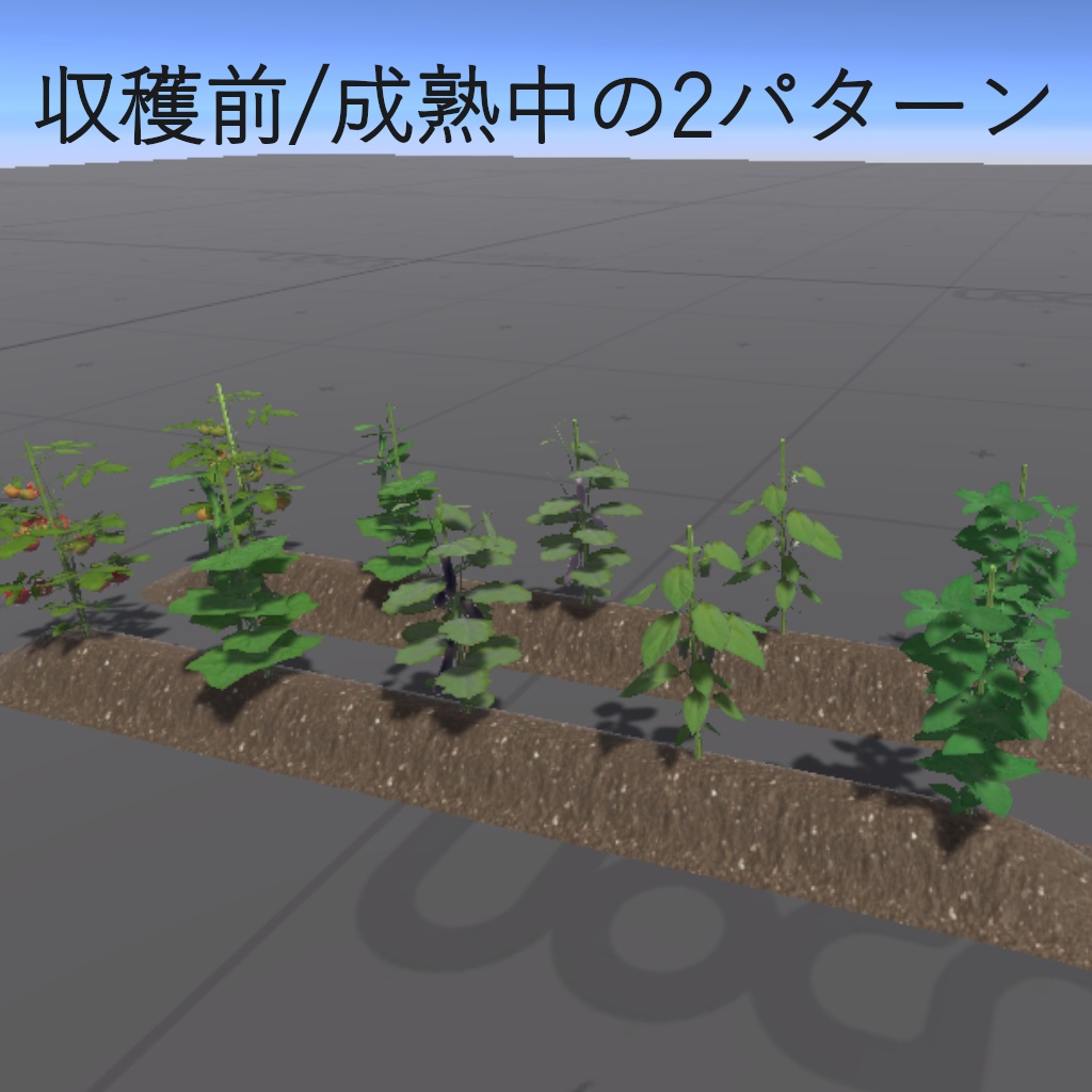 【3Dモデル】畑の野菜(夏)