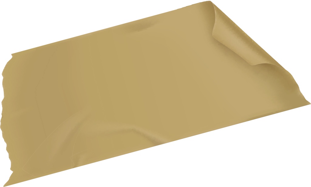 【両面プリント】背中に罠 FAKE YOU OUT お前を騙す