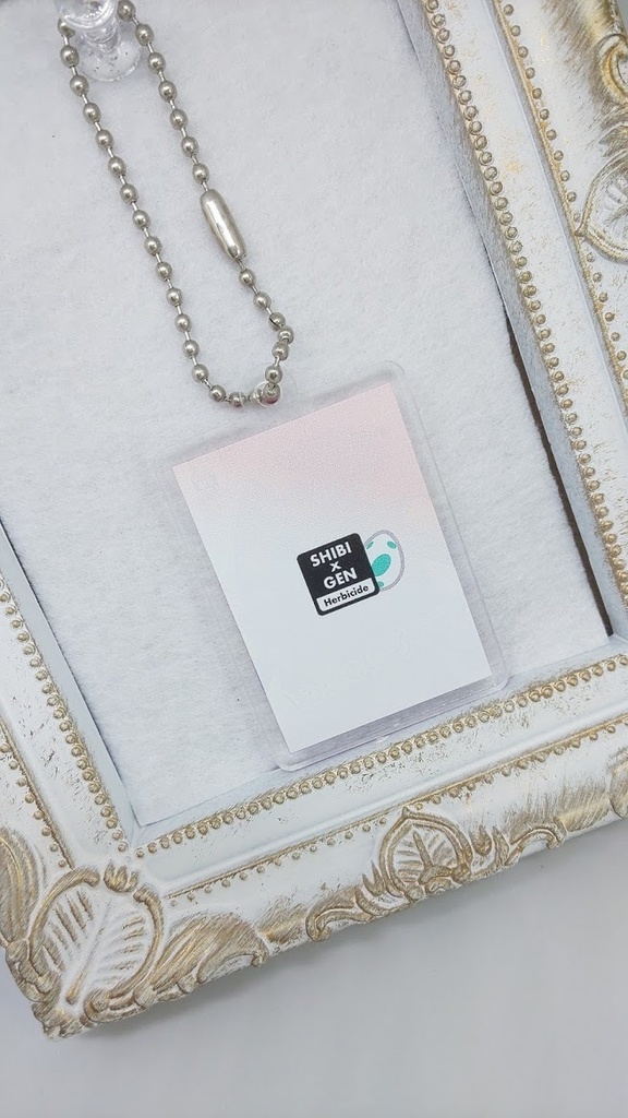 同人誌風 アクキー