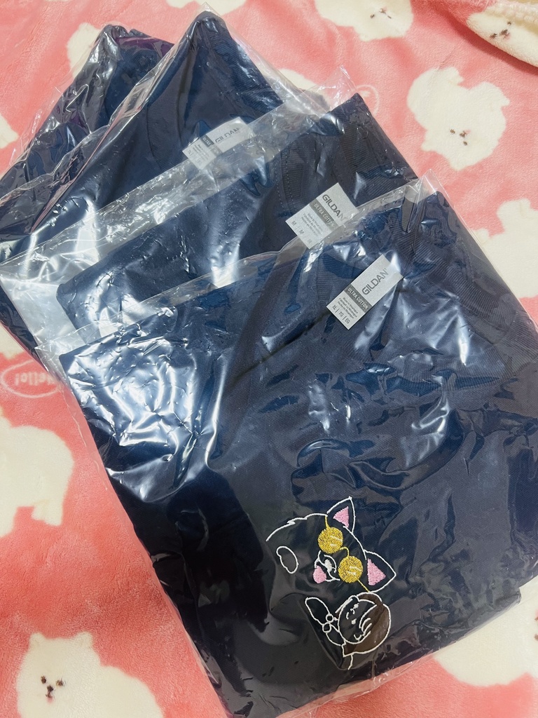 2022手描き刺繍Tシャツ(限定4)