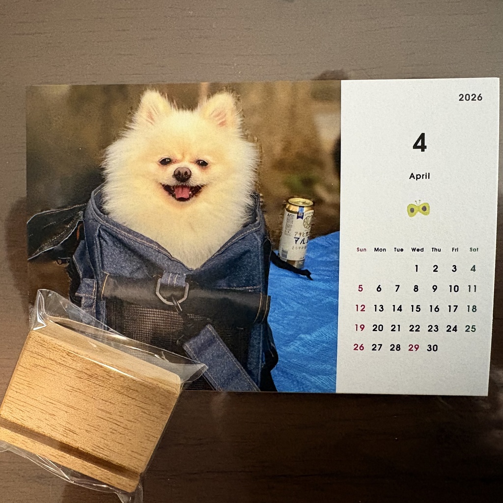 わたカレンダー2026(わた肉球生スタンプ・サイン入チェキ付)