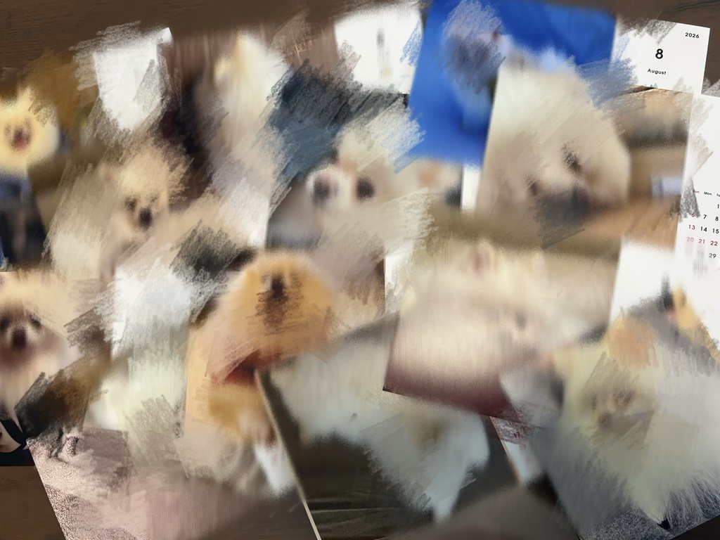 わたカレンダー2026(わた肉球生スタンプ・サイン入チェキ付)