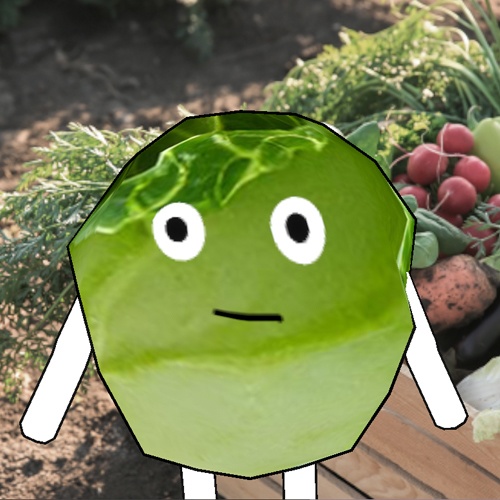 キャベツ