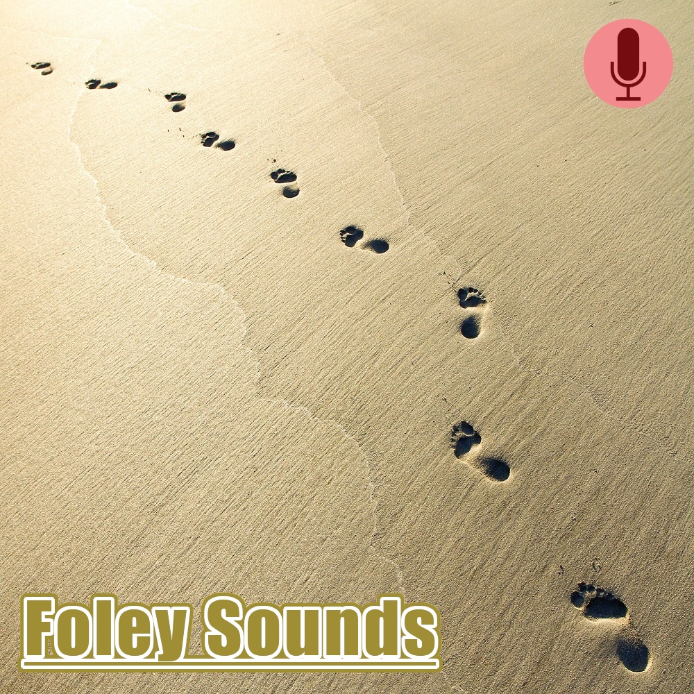 Foley Sounds