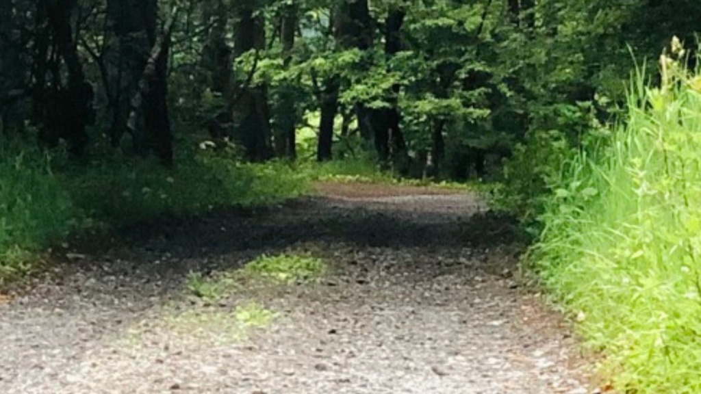 画像素材:山道セット【TRPGや動画などに】