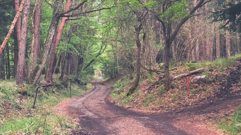 画像素材:山道セット【TRPGや動画などに】