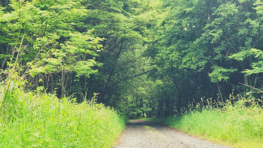 画像素材:山道セット【TRPGや動画などに】