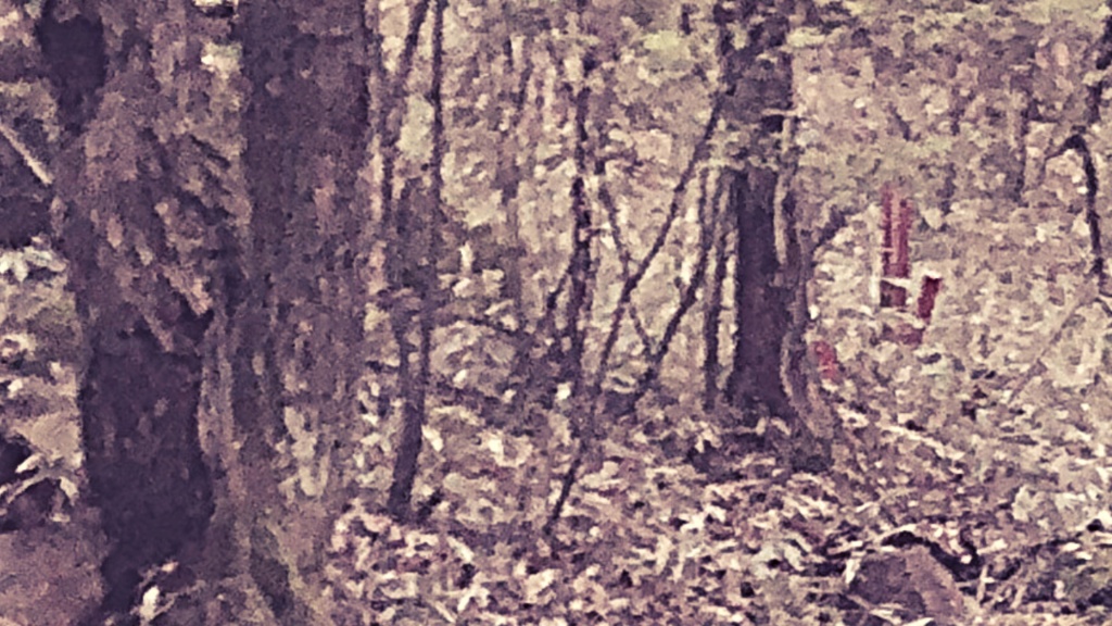 画像素材:森林セット【TRPGや動画などに】