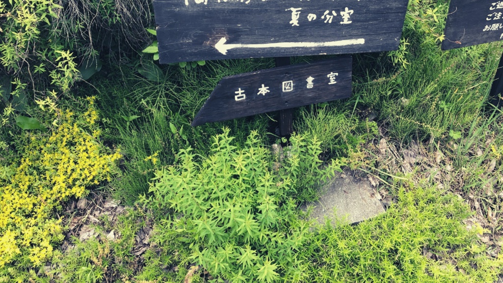 画像素材:村の古びた図書館セット【TRPGや動画などに】