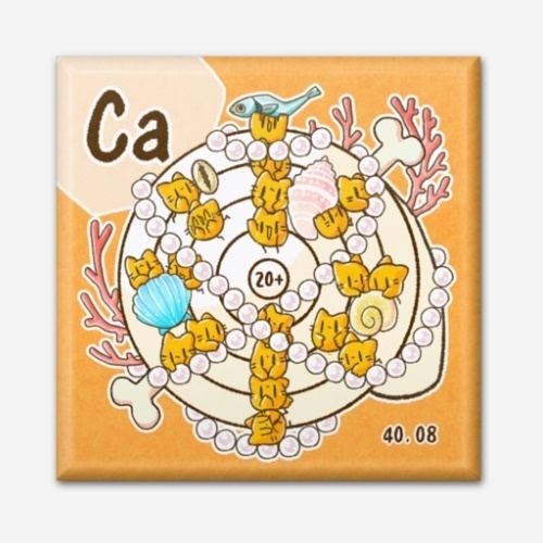 四角い元素のマグネット(11.ナトリウム~20.カルシウム)