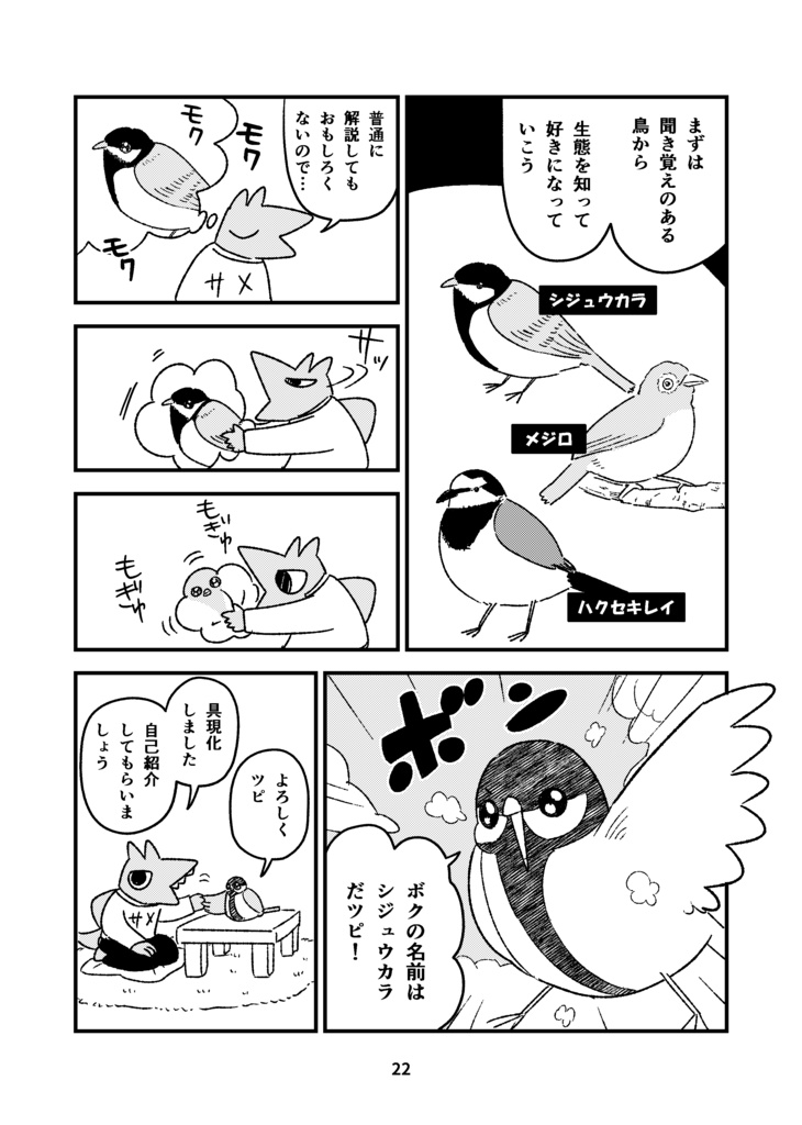 【受付終了】ネコザメエッセイ 散歩のおかず~きっかけ編~