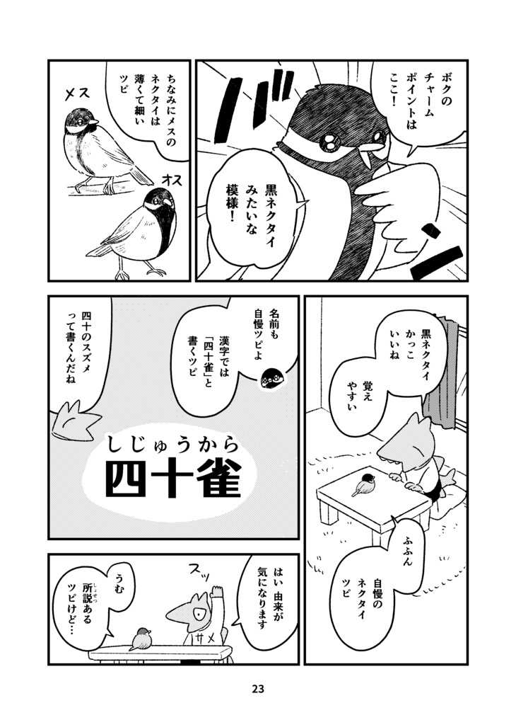 【受付終了】ネコザメエッセイ 散歩のおかず~きっかけ編~