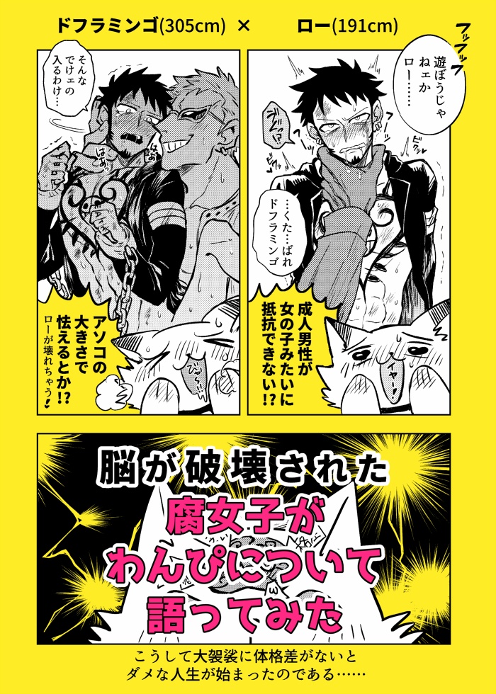 腐女子がわんぴについて語ってみた