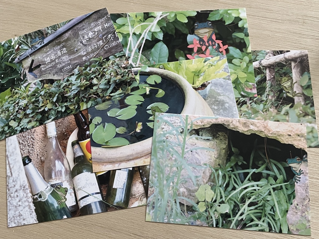 かえるさんの首里さんぽ 写真セット