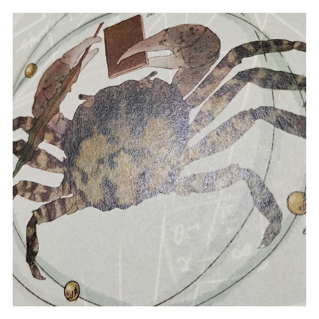 物語カード『Crabium(クラビウム)』