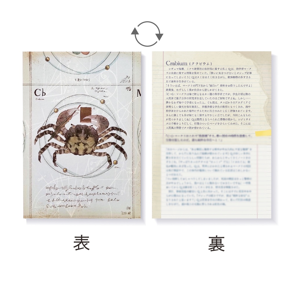 物語カード『Crabium(クラビウム)』