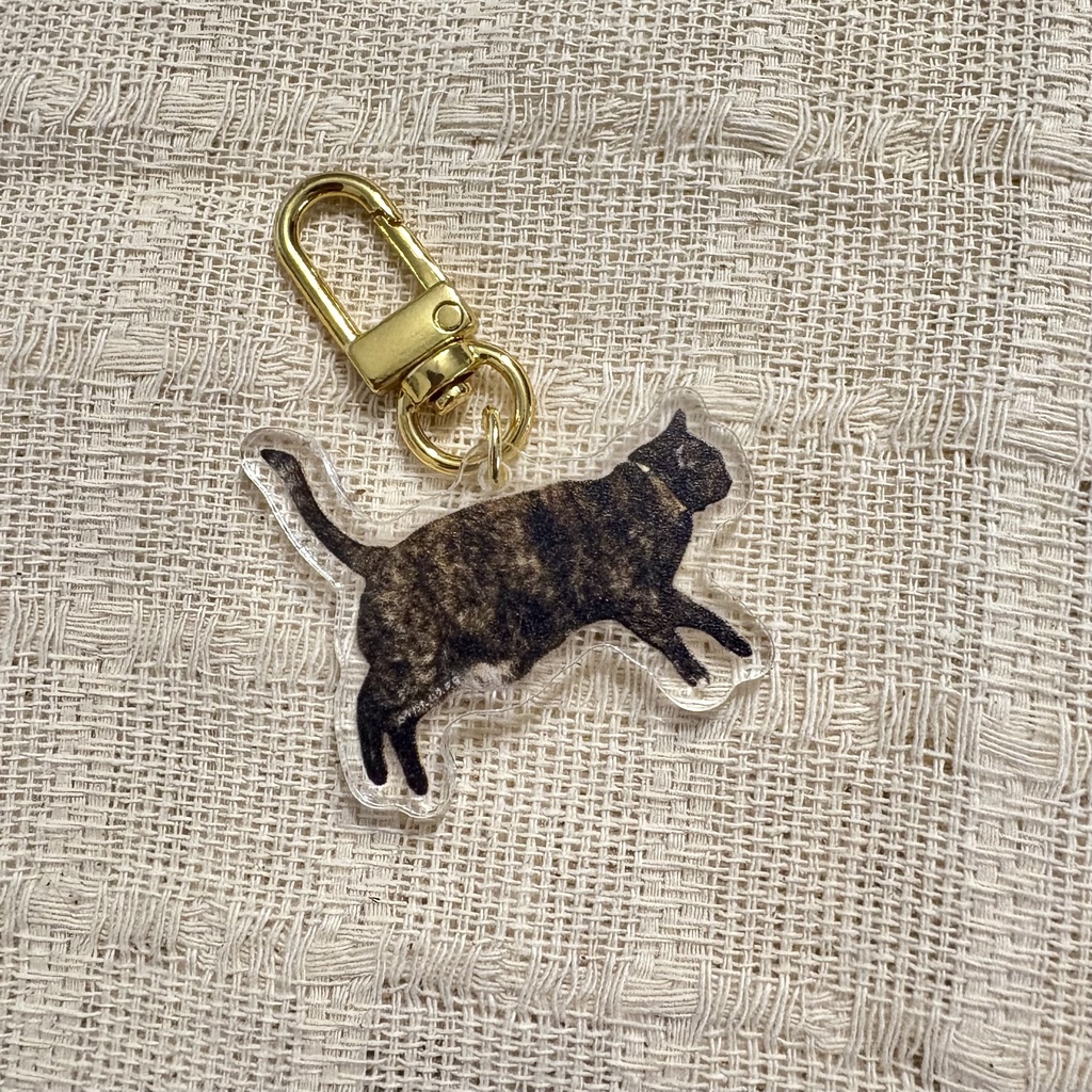 くろまめミニアクキー