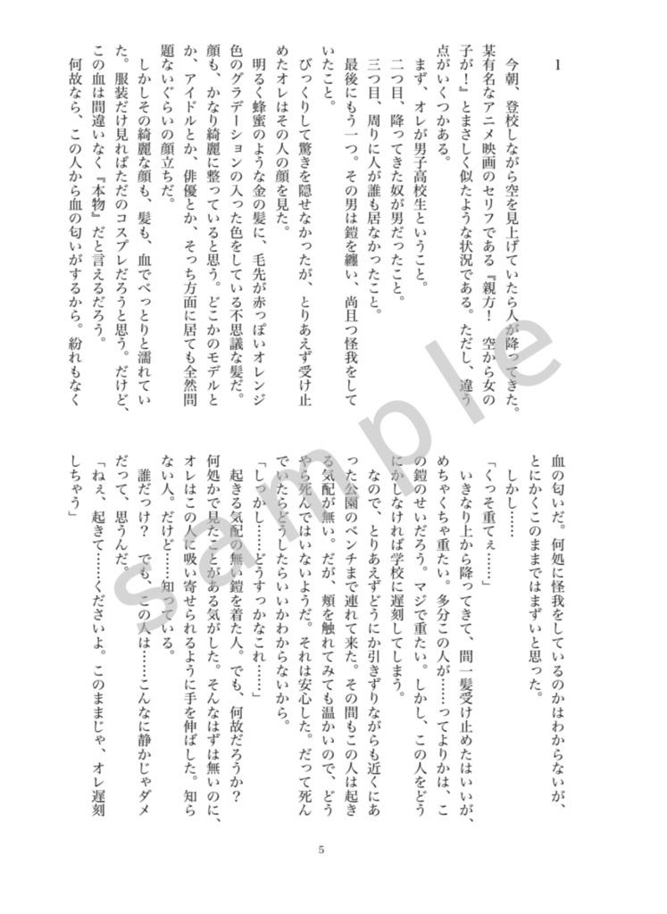 空から騎士様が降ってきた話