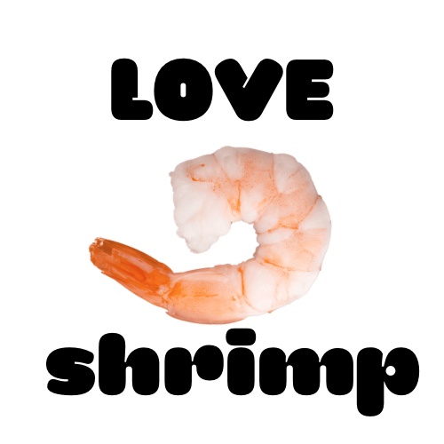 ちみけもマスコットサイズ 海鮮Tシャツ