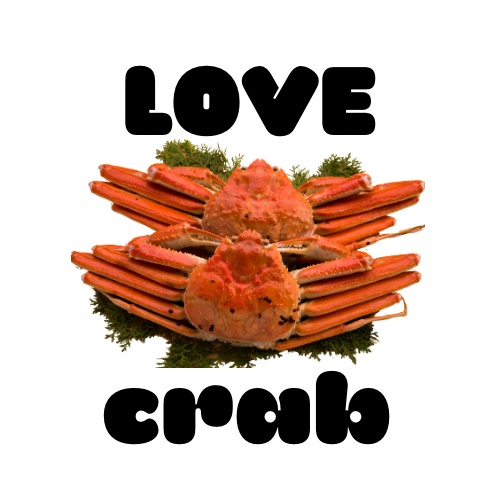 ちみけもマスコットサイズ 海鮮Tシャツ