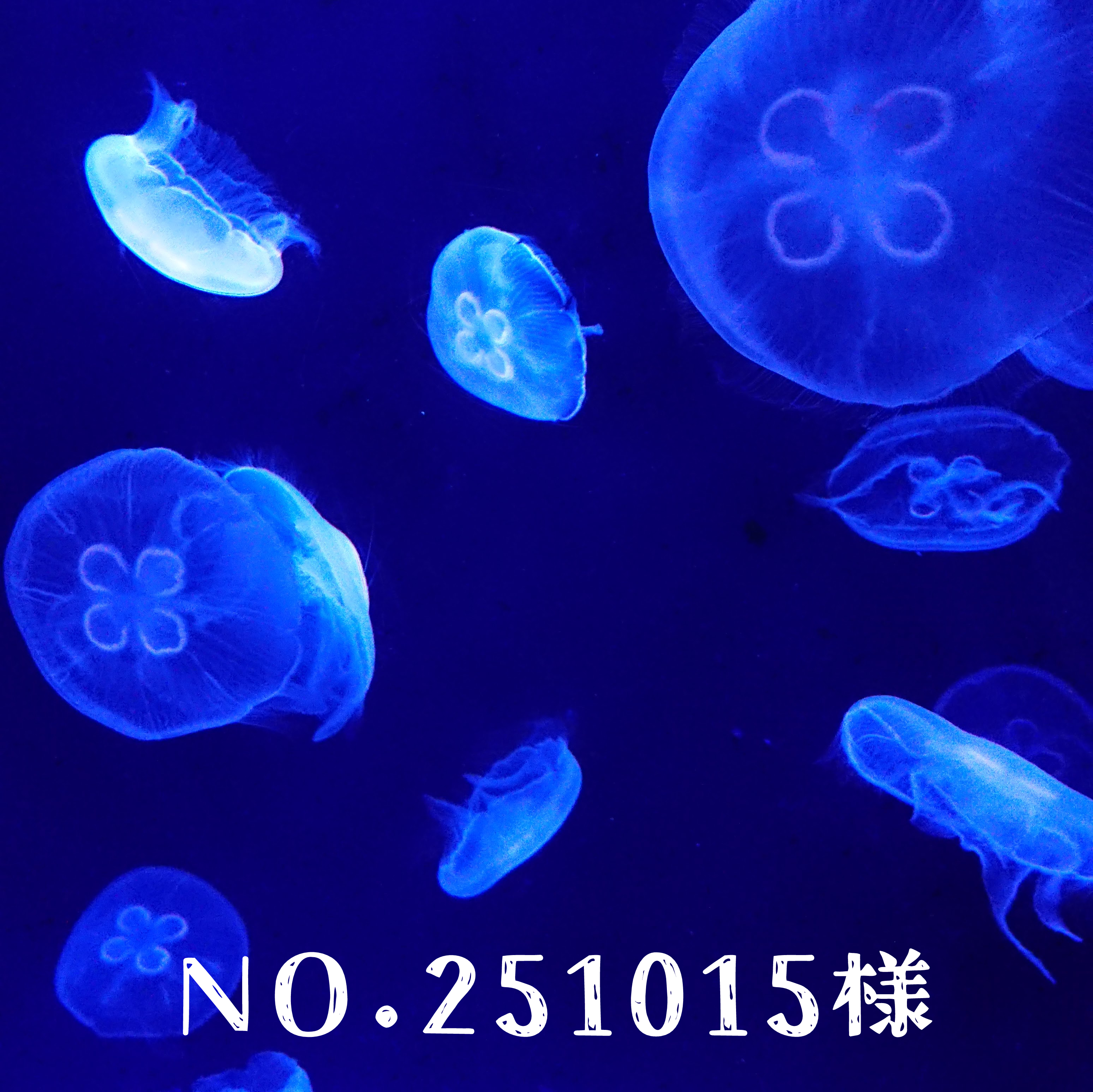 ご依頼_NO.251015様 - 狐福堂 - BOOTH