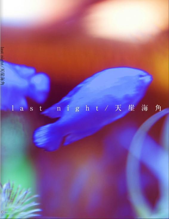 last night / 天涯海角