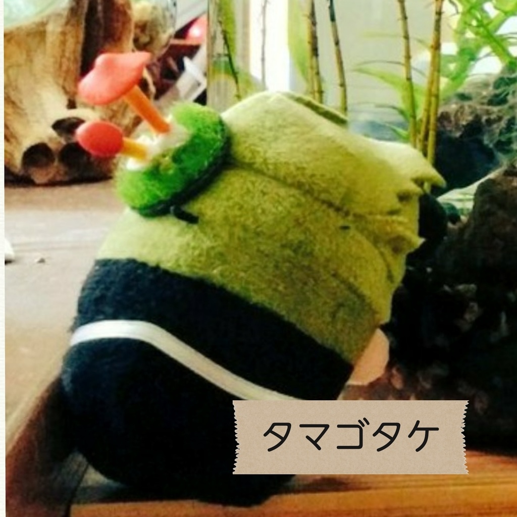 もちに寄生させる きのこ