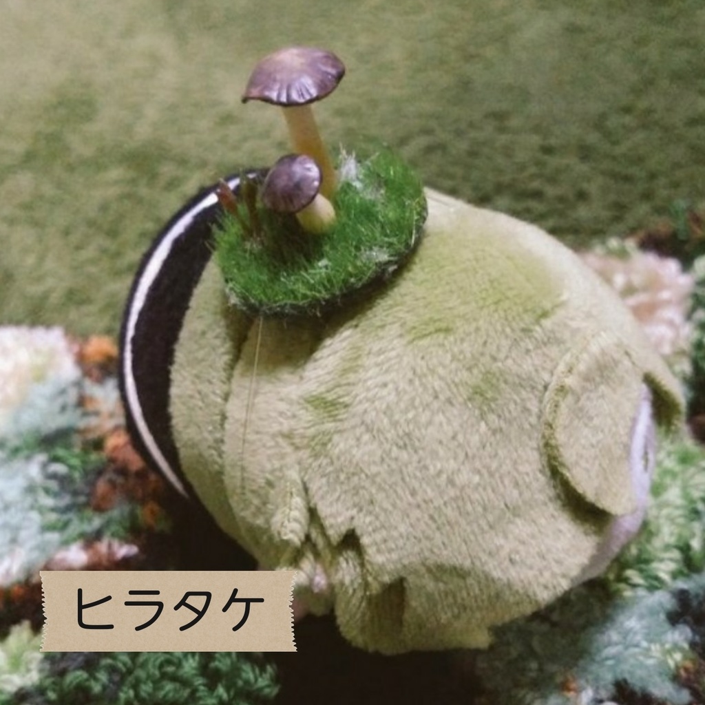 もちに寄生させる きのこ