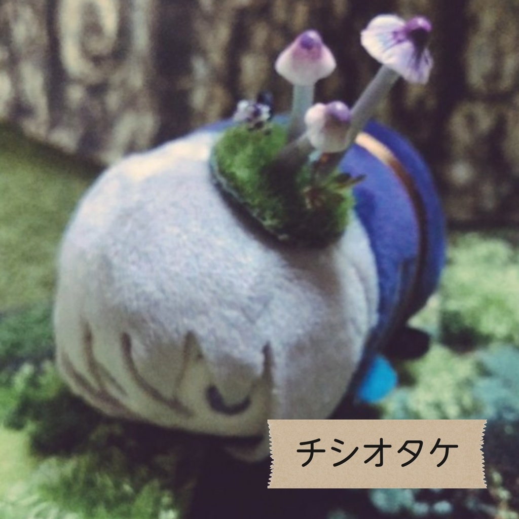 もちに寄生させる きのこ