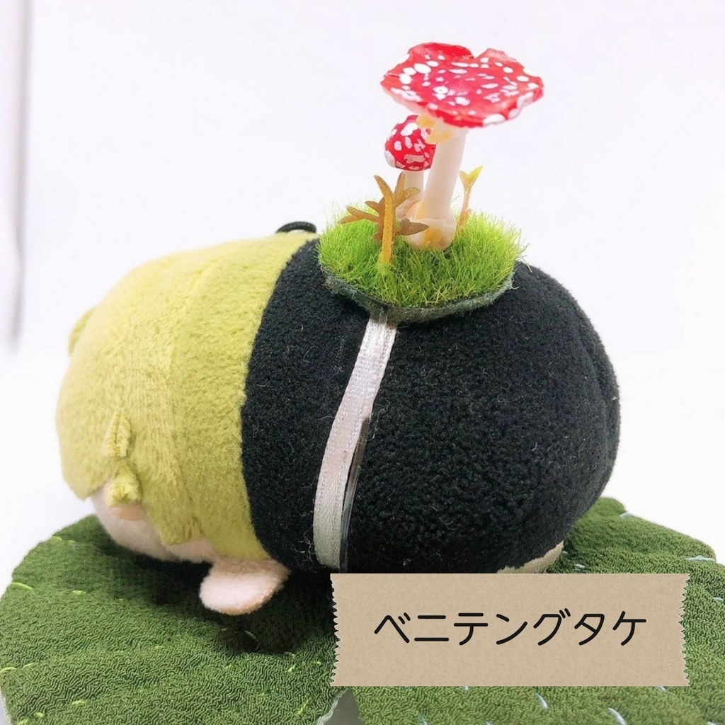 もちに寄生させる きのこ