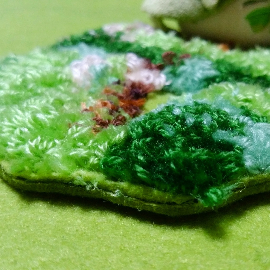 小さな苔の絨毯