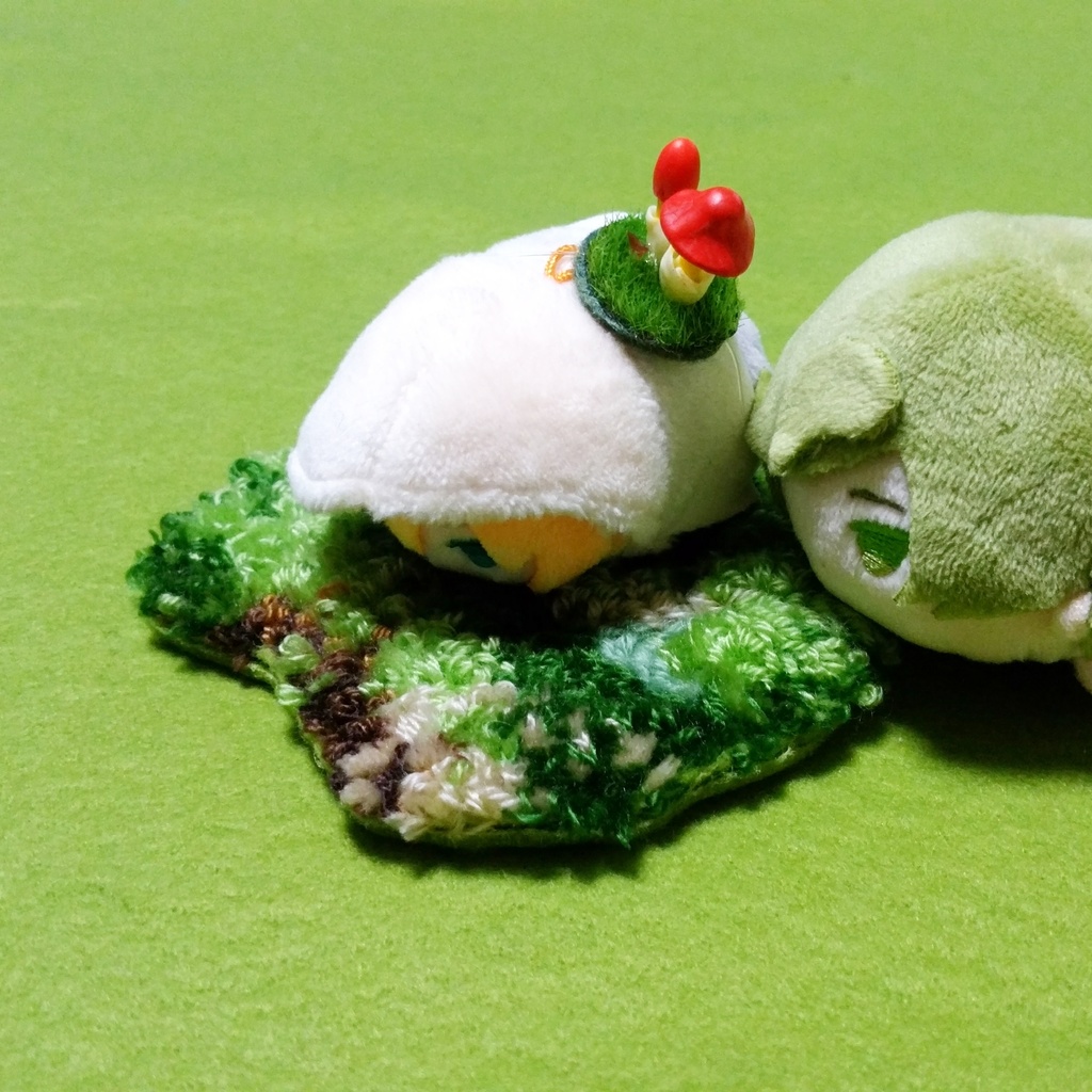 小さな苔の絨毯