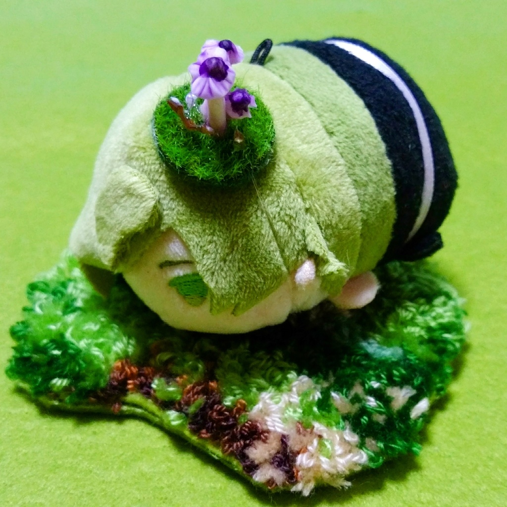 小さな苔の絨毯