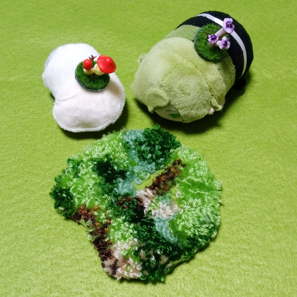 小さな苔の絨毯