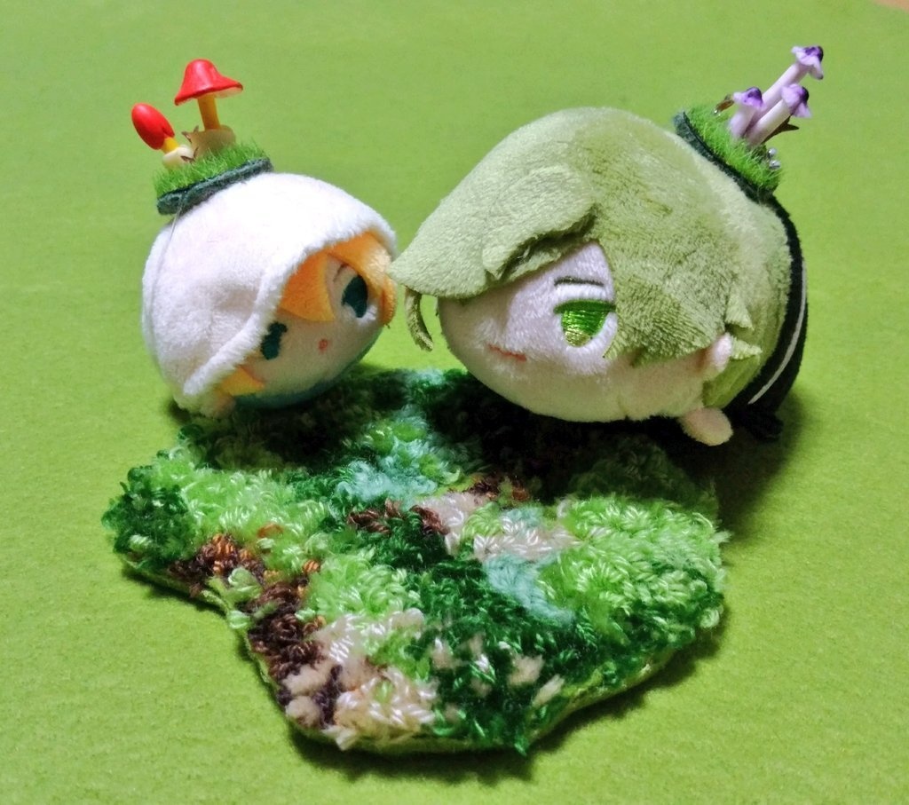 小さな苔の絨毯