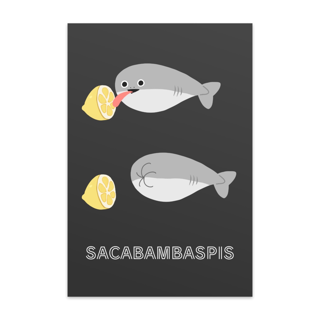  Sacabambaspis Licking Lemon