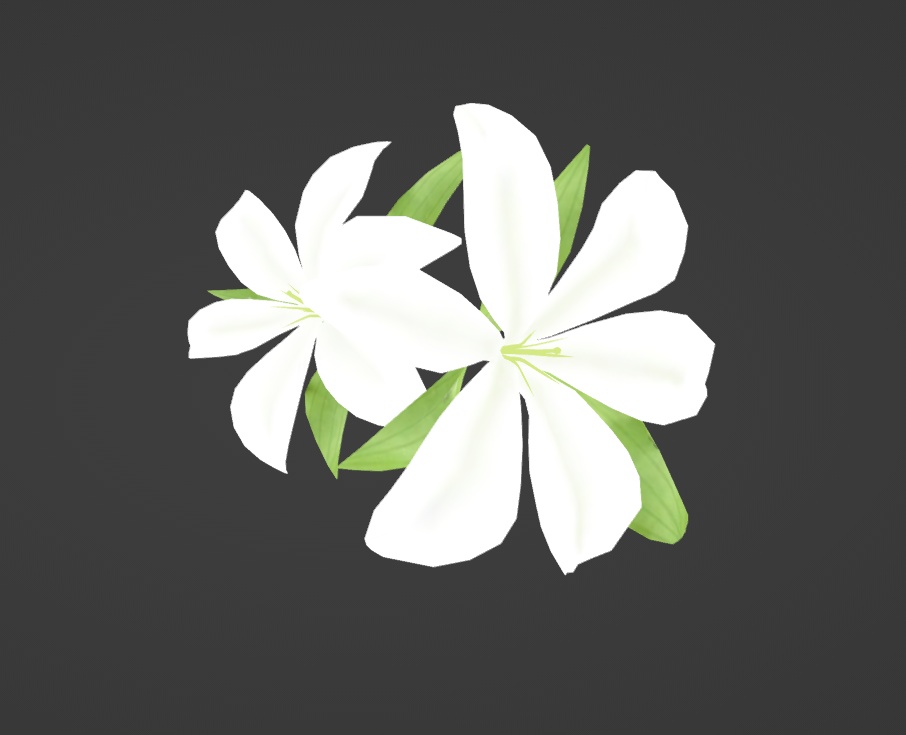 【3Dモデル】カサブランカの花