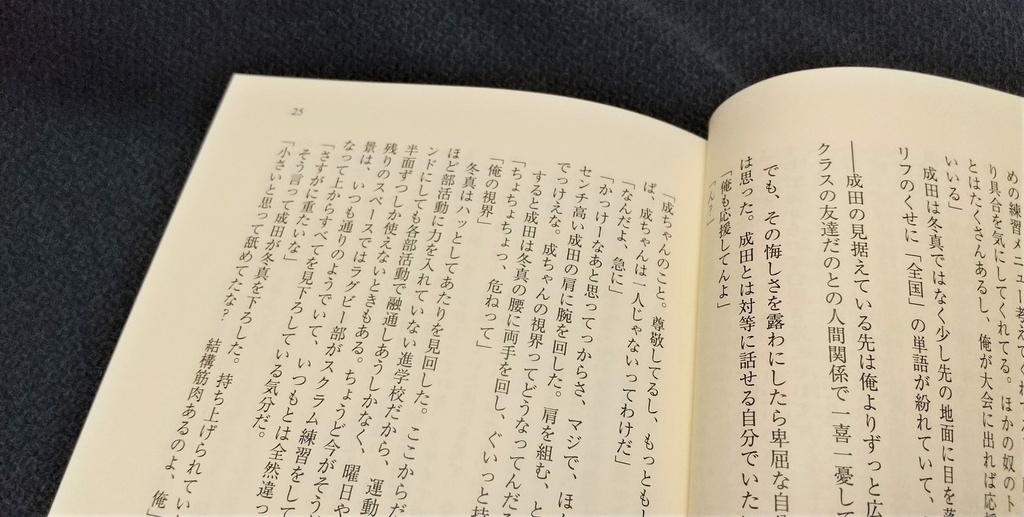 【紙本】空より高く 愛より青く