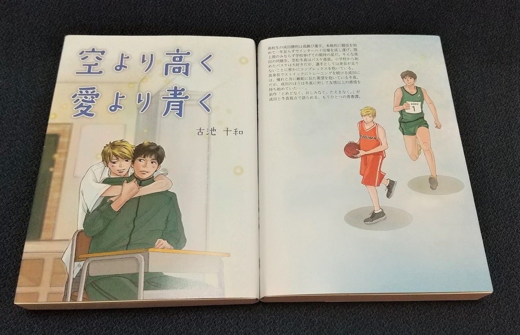 【紙本】空より高く 愛より青く