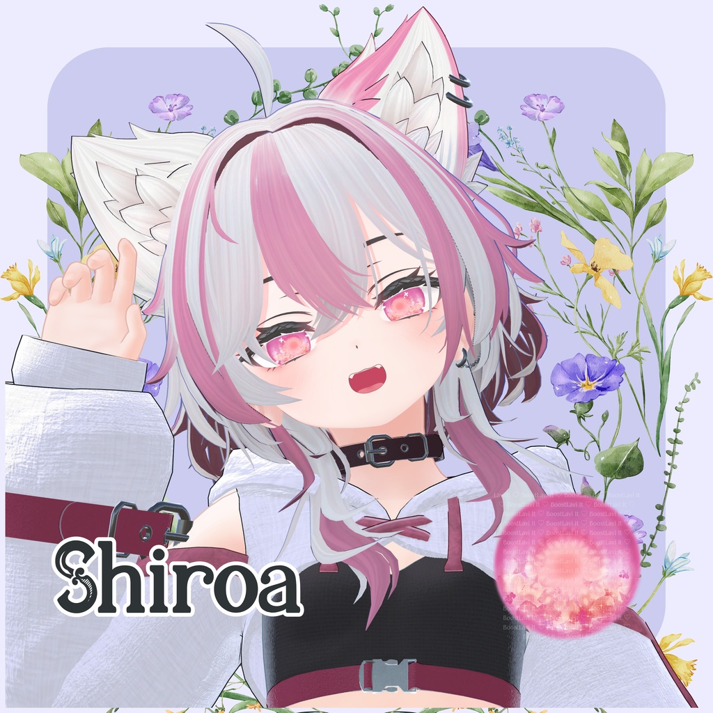 【限定】シロアちゃんお迎え応援パック【販売10/31迄】