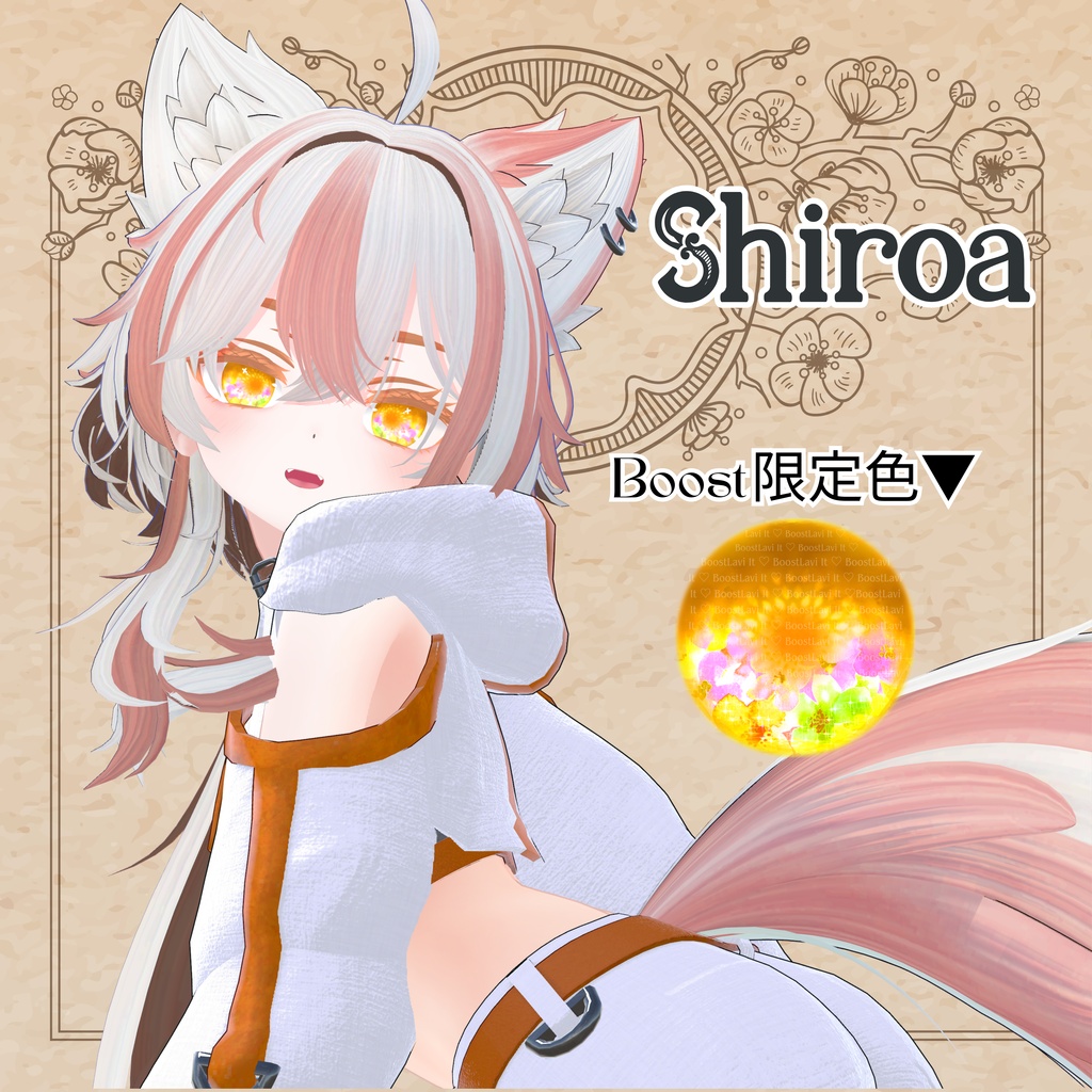 【限定】シロアちゃんお迎え応援パック【販売10/31迄】