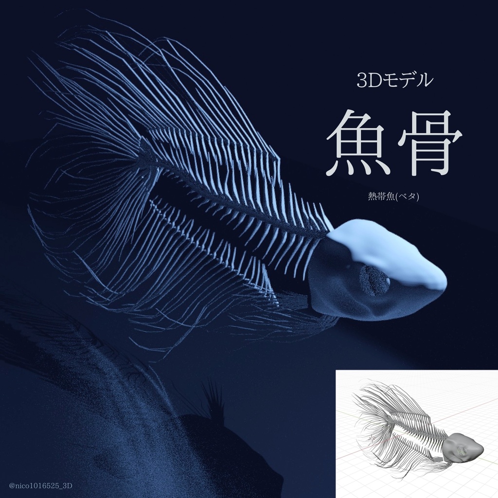 3Dモデル「魚骨（熱帯魚 ベタ)」