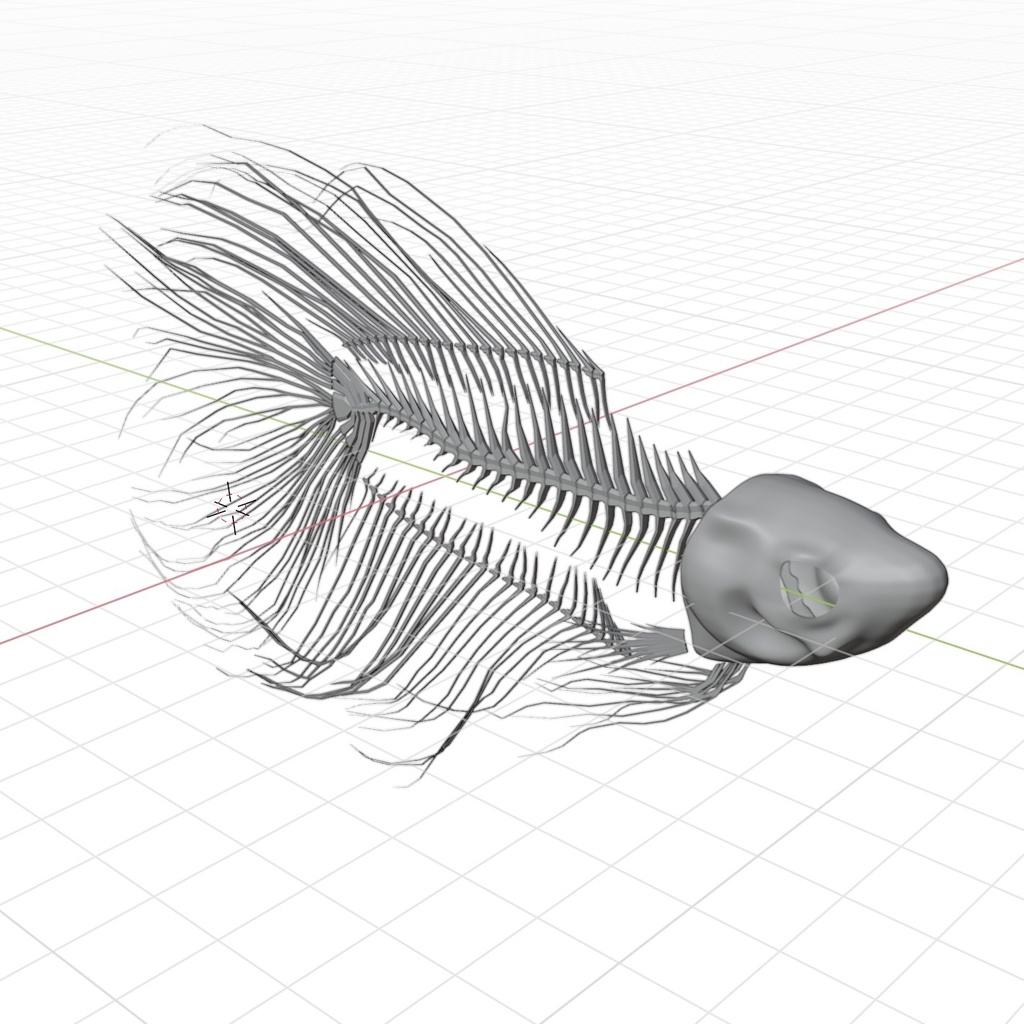 3Dモデル「魚骨(熱帯魚 ベタ)」