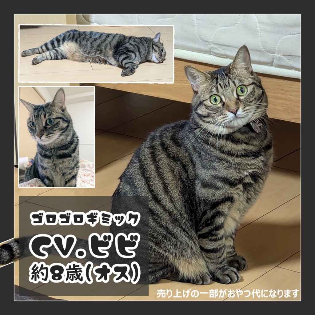 オリジナル3Dモデル/フェリリ (Felili) SHA-25-0202