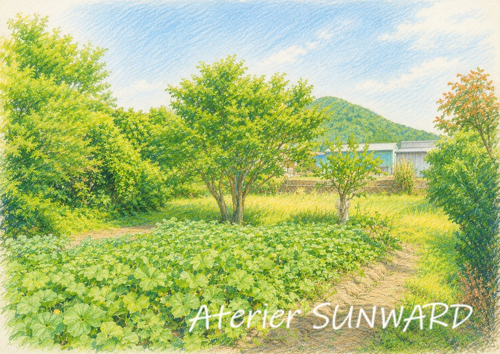 かぼちゃ畑と鷲尾岳