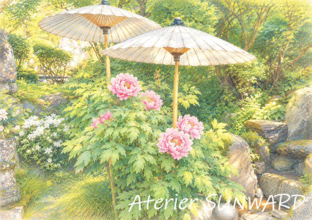 和傘と牡丹の花